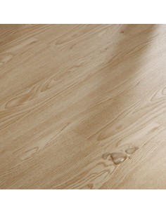 SPC Yutra Stejar Desert