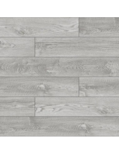 SPC Yutra Stejar Marengo